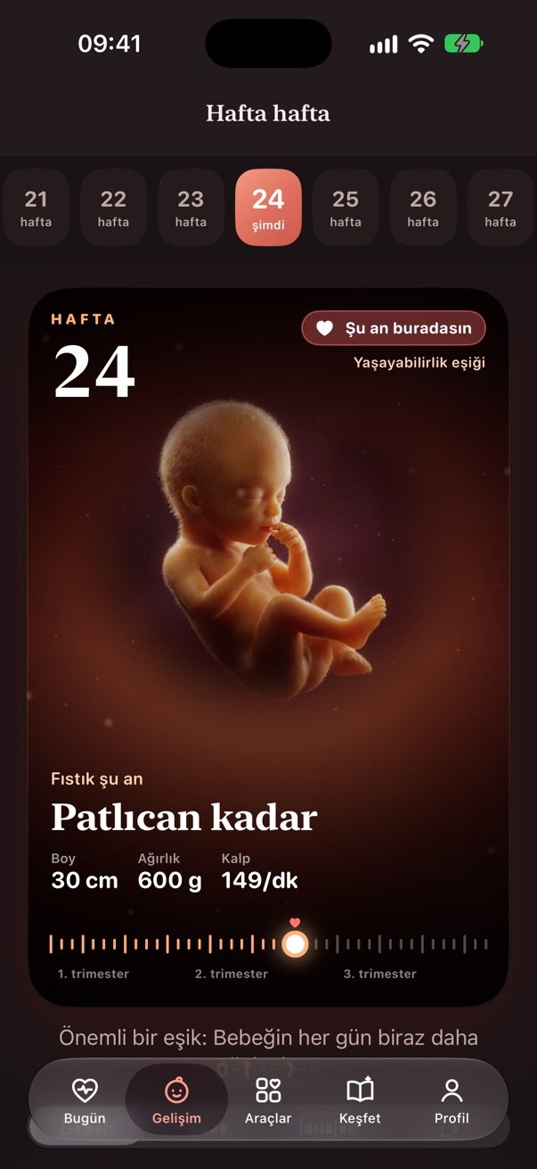Gelişim, koyu mod