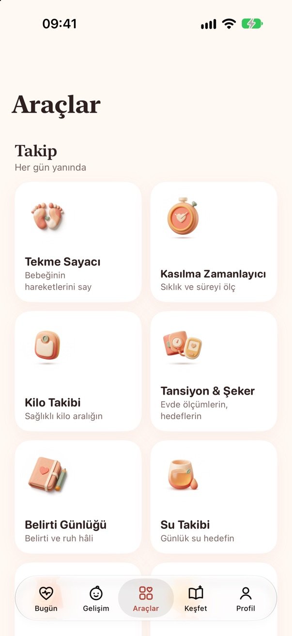 Araçlar ekranı